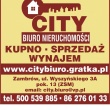 zdjęcie nr 