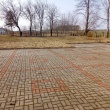 zdjęcie nr 