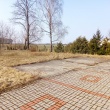 zdjęcie nr 