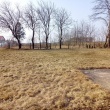 zdjęcie nr 