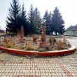 zdjęcie nr 