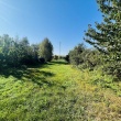 zdjęcie nr 