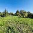 zdjęcie nr 