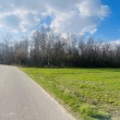 zdjęcie nr 