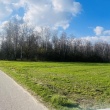 zdjęcie nr 