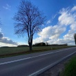 zdjęcie nr 