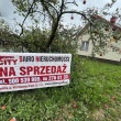 zdjęcie nr 