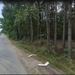 zdjęcie nr 