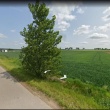 zdjęcie nr 