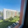 zdjęcie nr 