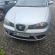 zdjęcie nr 