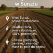 zdjęcie nr 