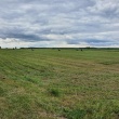 zdjęcie nr 