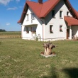 zdjęcie nr 