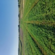 zdjęcie nr 
