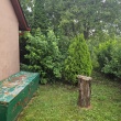 zdjęcie nr 
