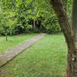 zdjęcie nr 