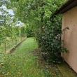 zdjęcie nr 