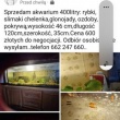zdjęcie nr 