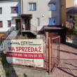 zdjęcie nr 