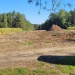 zdjęcie nr 