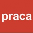 zdjęcie nr 