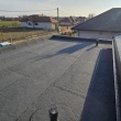 zdjęcie nr 