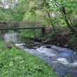 zdjęcie nr 