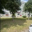 zdjęcie nr 