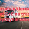 zdjęcie nr 