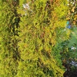 zdjęcie nr 