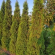 zdjęcie nr 