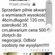 zdjęcie nr 