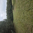zdjęcie nr 