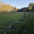 zdjęcie nr 