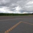 zdjęcie nr 