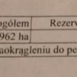 zdjęcie nr 
