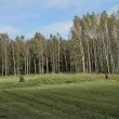 zdjęcie nr 
