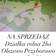 zdjęcie nr 