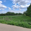 zdjęcie nr 
