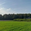 zdjęcie nr 