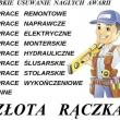 zdjęcie nr 