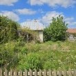 zdjęcie nr 