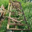 zdjęcie nr 