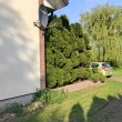 zdjęcie nr 