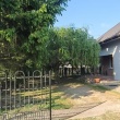 zdjęcie nr 