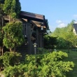zdjęcie nr 