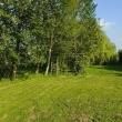 zdjęcie nr 