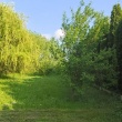 zdjęcie nr 