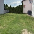 zdjęcie nr 